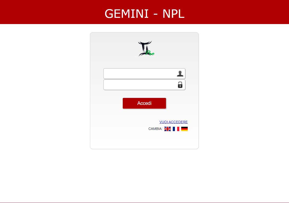 Fintech: Gemini NPE Management System